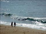 Des promenades en toute tranquilit sur le sable fin des plages landaises